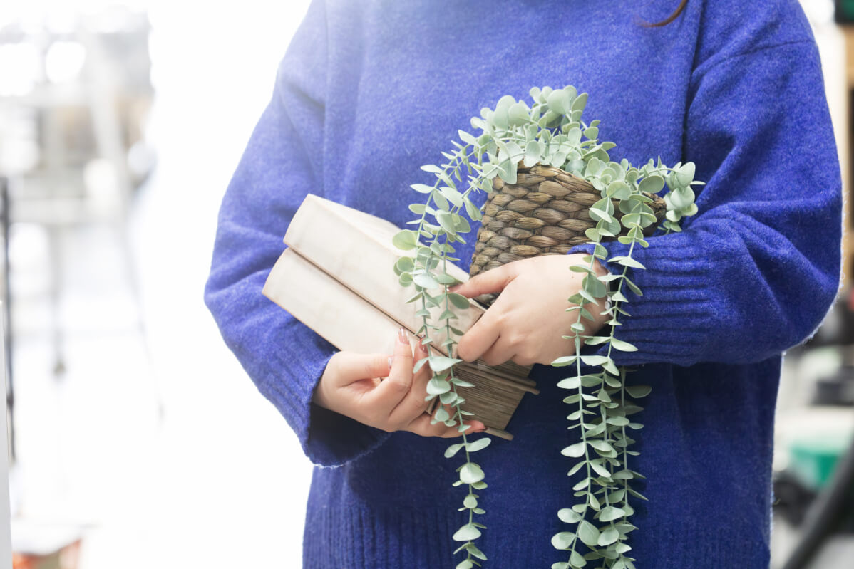 設計：S.K＜2024年入社＞